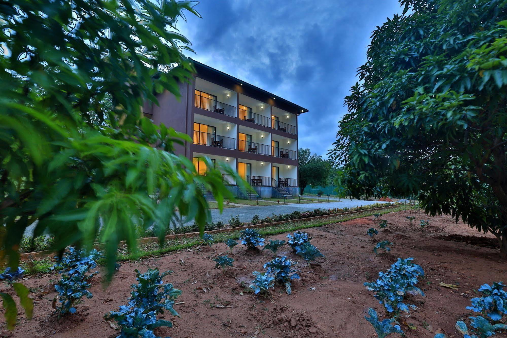 Grand & Gangula Hotel ดัมบูลลา ภายนอก รูปภาพ