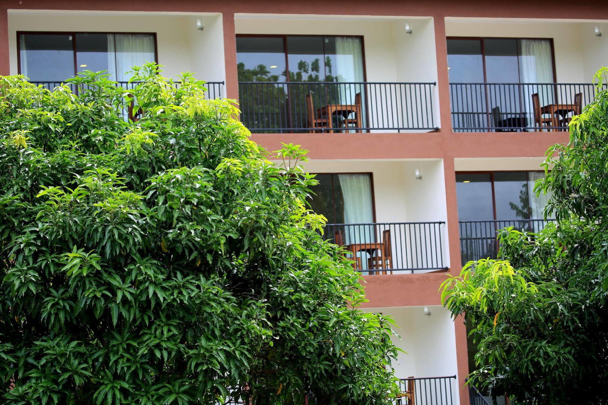 Grand & Gangula Hotel ดัมบูลลา ภายนอก รูปภาพ